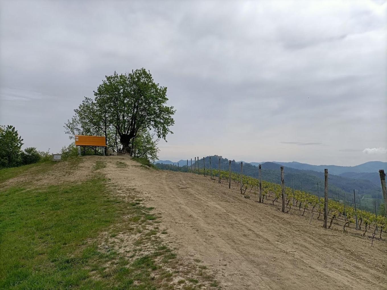 Monferrato Bed&bike Murisengo